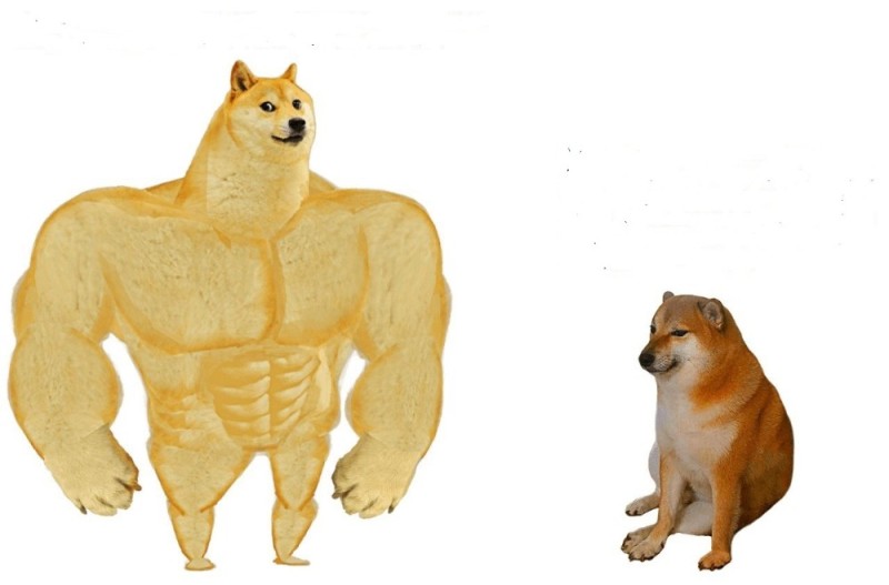 Create meme: doge is a jock, the dog is a jock meme, meme dogs jock