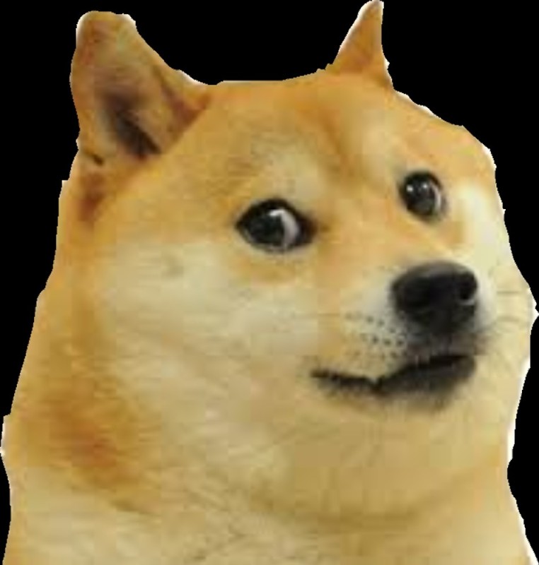 Create meme: Shiba inu doge, photos of friends, meme dogs 