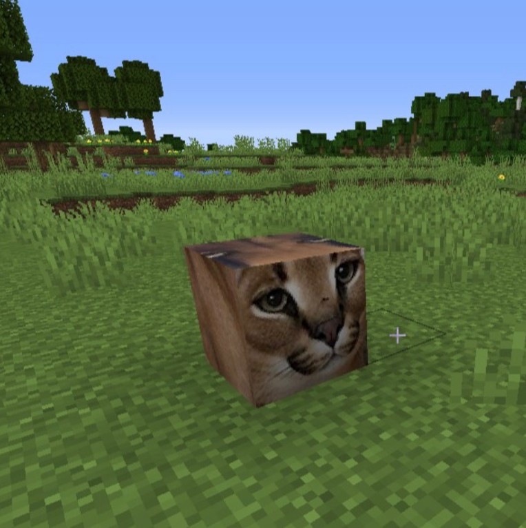 Create meme: caracal meme, minecraft cat, slap cat in roblox