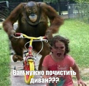 Создать мем: monkey funny, веселая обезьяна, обезьяна на велосипеде едет за девочкой