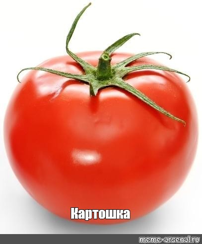 Томат Картошка Фото