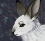 Create meme: white rabbit in profile, cute white rabbit art, rabbit