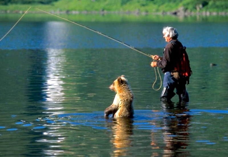 Create meme: angler, The bear is a fisherman, summer fishing