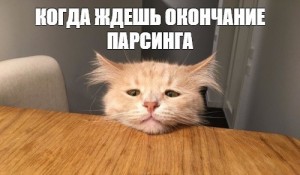 Create meme: funny cats, cat, cats meme