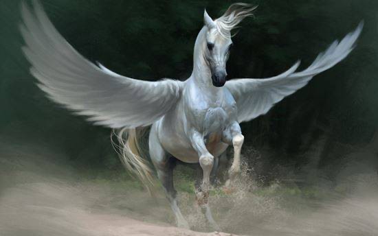 Создать мем: пегас конь, лошадь с крыльями маслом, белая лошадь с крыльями
