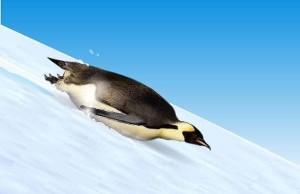 Создать мем: антарктида пингвины, penguin, пингвин катится с горки