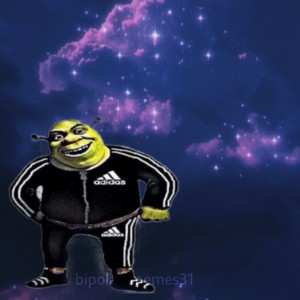 Create meme: Shrek in Adidas, yandex.music, galaxy song