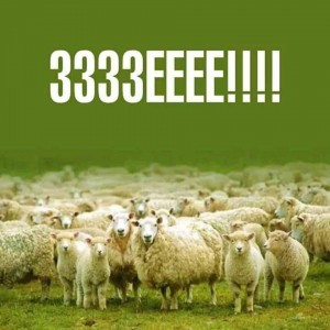 Create meme: sheep, the sheep in the pasture