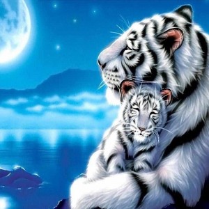 Создать мем: кентаро нишино тигры, белый тигр под луной пазл, тигр под луной