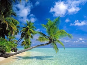 Create meme: The Maldives, the beach in the Maldives, tropical Paradise
