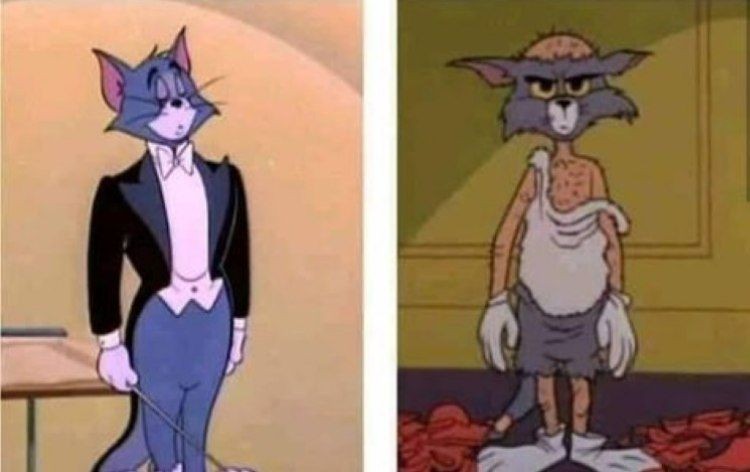 Create meme: Tom and Jerry , the cat from Tom and Jerry votfrake, Tom and jerry bald tom