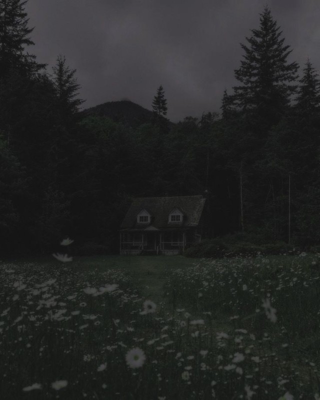Создать мем: дом в лесу, темнота, милый домик в лесу