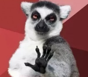 Create meme: lemur, Dima uzbagoysya, Serge uzbagoysya