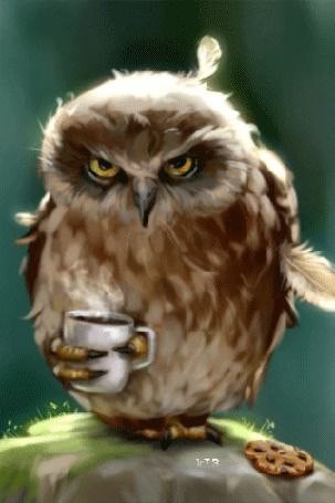 Create meme: owl with a cup of coffee, angry owl, owl 