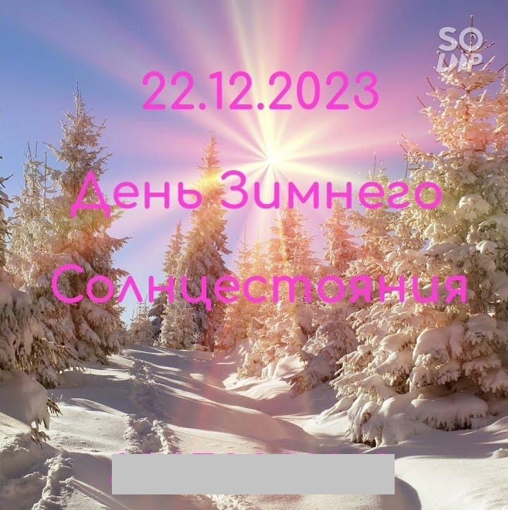 Create meme: winter sun, Winter sun moment, winter forest sun