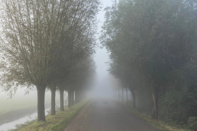 Create meme: morning fog , thick fog , nature fog