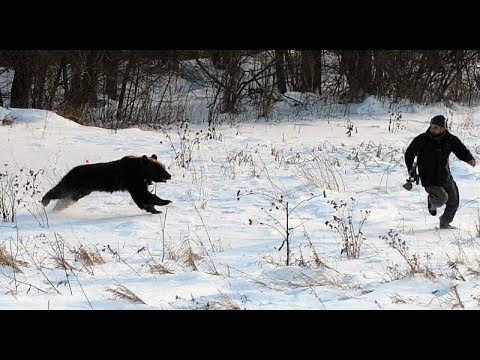 Создать мем: убегать от медведя зимой, медведь, охотник бежит от медведя