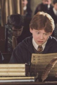 Create meme: hogwarts exam, exam owls Harry Potter, Harry Potter exams