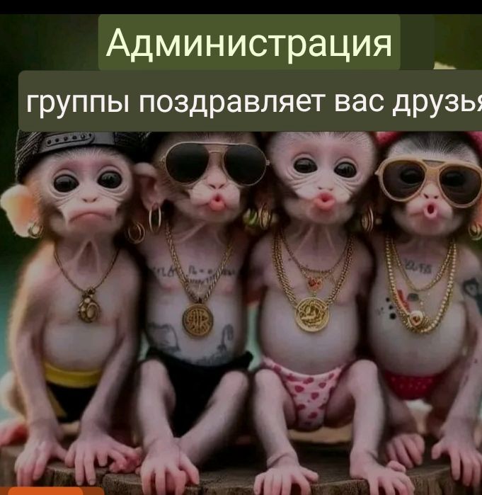 Создать мем: маленькая обезьяна, пять обезьян, смешные обезьянки