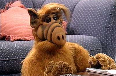 Создать мем: альф, альф сериал 1986, alf