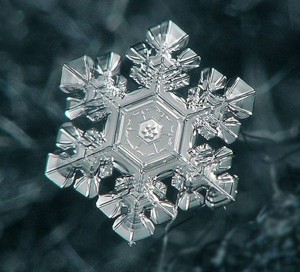 Create meme: snowflakes