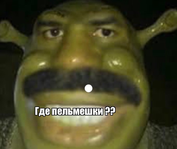 Создать мем: shrek meme, мальчик, зелибоба шрек