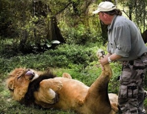 Создать мем: собака лучший друг человека, огромный лев, Настоящий массажист