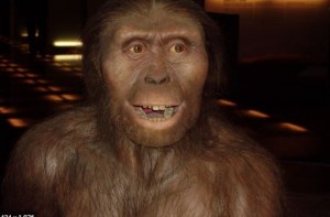 Создать мем: australopithecus afarensis, австралопитек, австралопитек афарский