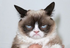 Создать мем: злой кот грампи кэт, grumpy cat, грампи кэт улыбается