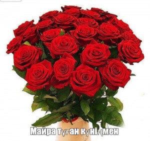 Create meme: red Naomi, red roses bouquet, rose bouquet