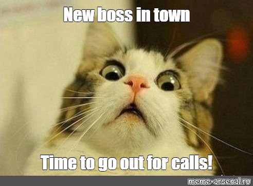 endnu engang nål End Meme: "New boss in town Time to go out for calls!" - All Templates - Meme -arsenal.com