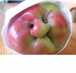 Создать мем: кривое яблоко, страшное яблоко, смешное яблоко