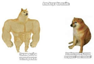 Создать мем: накаченная собака, shiba inu, doge качок