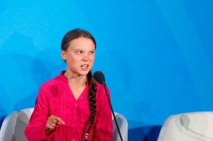 Create meme: Greta Thunberg, Elena nical, beetle Greta Thunberg