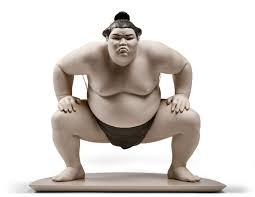 Create meme: sumo, a sumo wrestler, sumo wrestler
