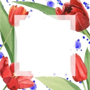 Создать мем: рамки для открыток на 8 марта, рамка из орхидей png, шаблон открытка с тюльрпнами фотошоп