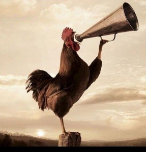 Create meme: cock with microphone, rooster