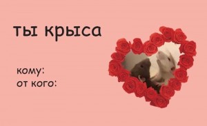 Create meme: funny Valentines, to congratulate with Valentine's day, Valentines