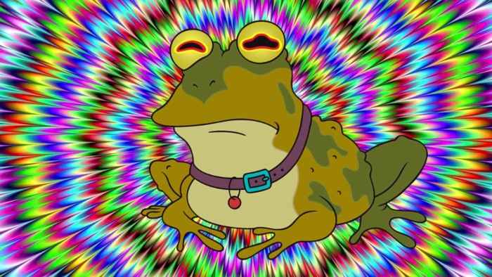 Create meme: Hypnotoad , Hypnotoad futurama, futurama toad
