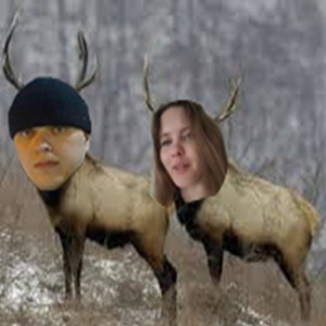 Create meme: wild animals, moose, deer elk