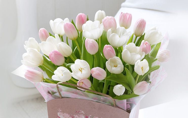 Create meme: delicate tulips , delicate bouquet of tulips, tulips happy birthday