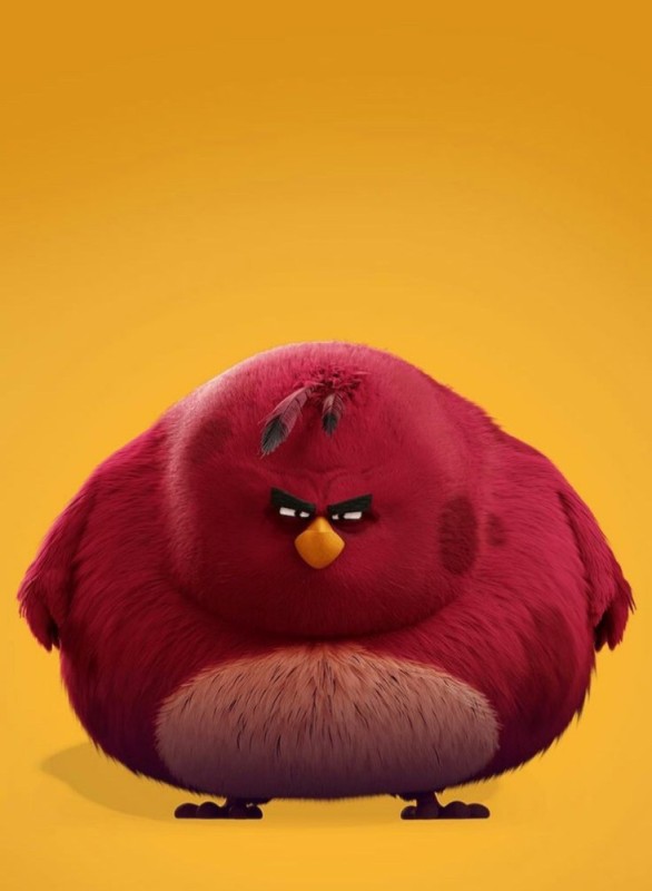 Создать мем: энгри бердз красная птичка, теренс энгри бердз мультфильм, angry birds теренс