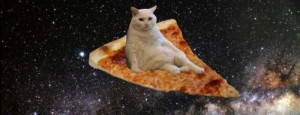 Create meme: Cat on pizza in space 