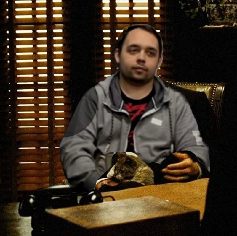 Create meme: Bonasera godfather, don corleone with a cat, the godfather no respect