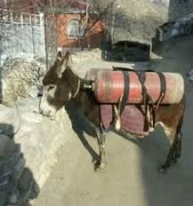 Create meme: exchange for a donkey for gas, donkey on the gas, loaded donkey