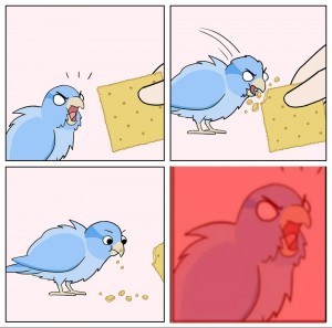Create meme: comics, bird funny, comics funny