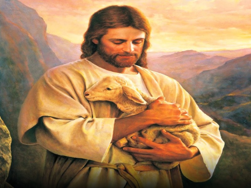 Create meme: the good shepherd, Jesus christ with the lamb, jesus 