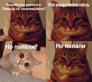 Создать мем: мем с котами про икею, мемы с котами, мем кошка