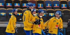 Create meme: the Swedes, world Cup hockey, the ice hockey world championship
