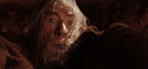 Create meme: run you fools, Gandalf the Lord of the rings, run you fools Gandalf